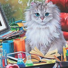 Схема вышивки «кот»