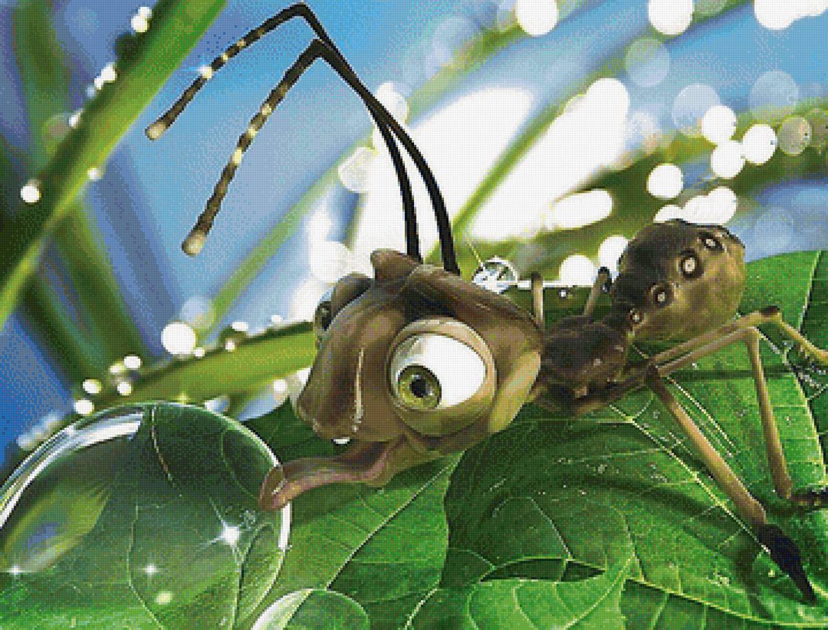 муравей - мир животных - предпросмотр