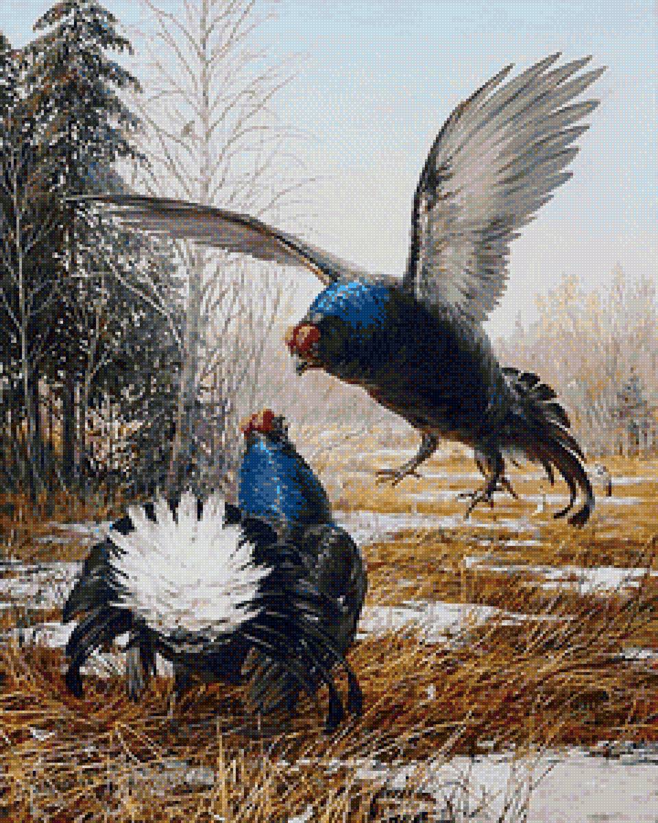 Тетерева - предпросмотр