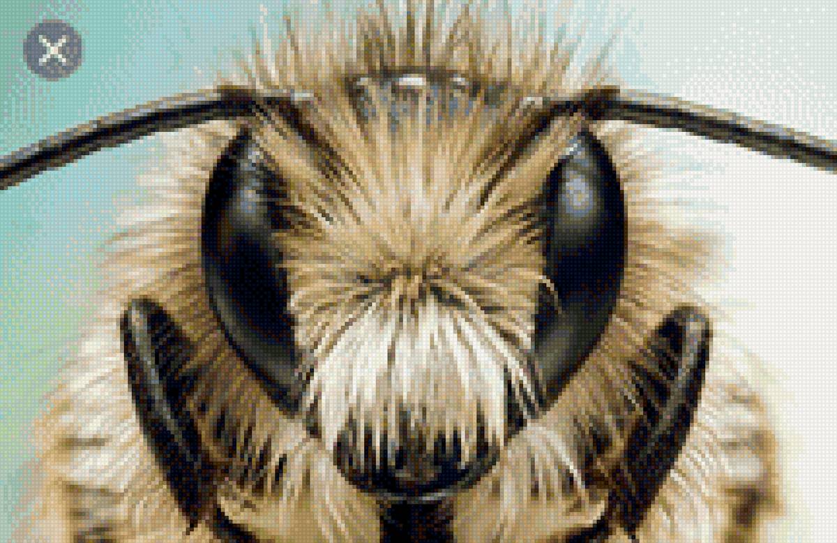 Пчела - насекомое - предпросмотр