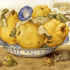 Схема вышивки «Серия "Фруктово-ягодная". Груши»