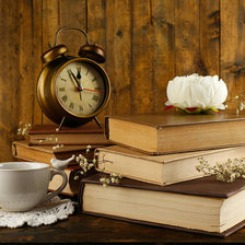 Схема вышивки «Книги»