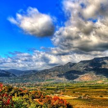 Схема вышивки «Природа»