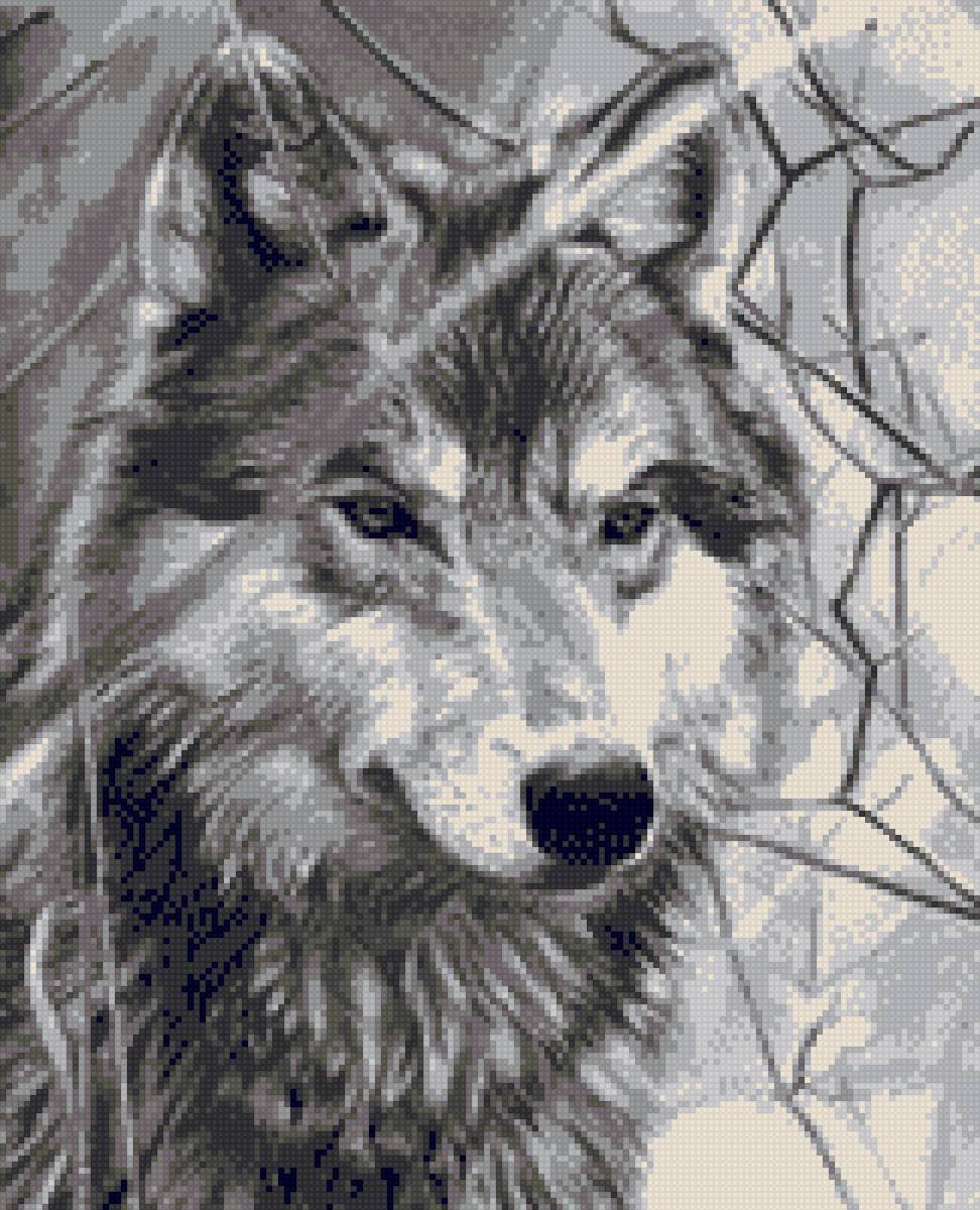 LOBO - предпросмотр