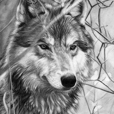 Схема вышивки «LOBO»