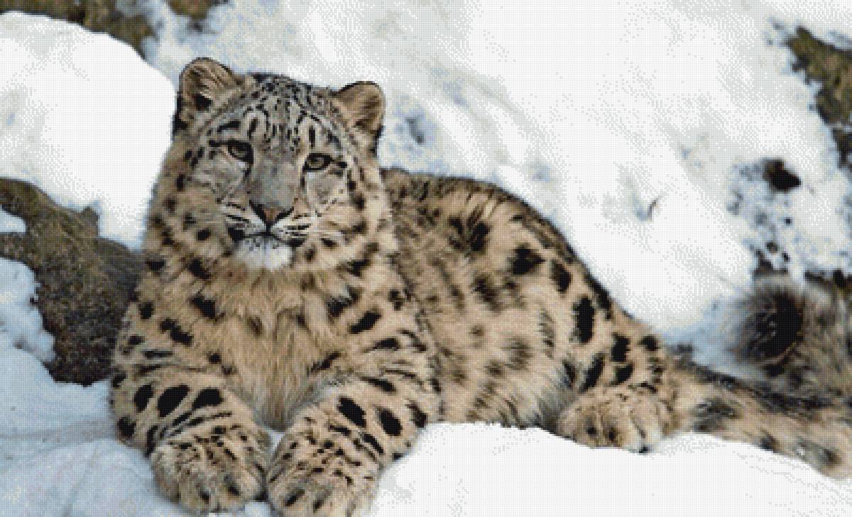 №1836998 - предпросмотр