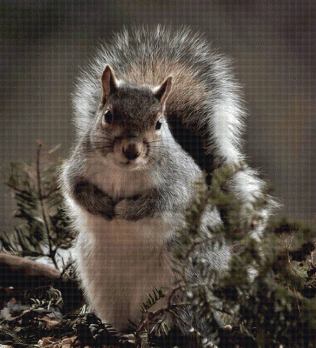 №1837009 - предпросмотр