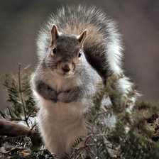 Схема вышивки «№1837009»