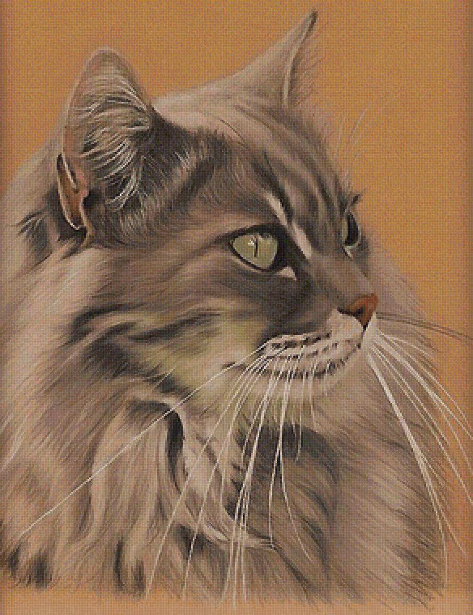 кот - предпросмотр