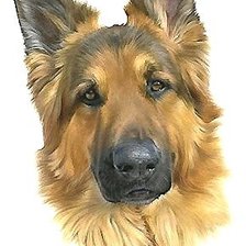 Схема вышивки «собака»