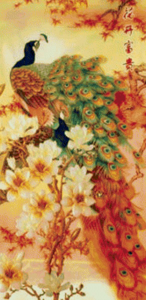 павлины - птицы, павлины - предпросмотр