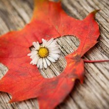 Схема вышивки «осень»