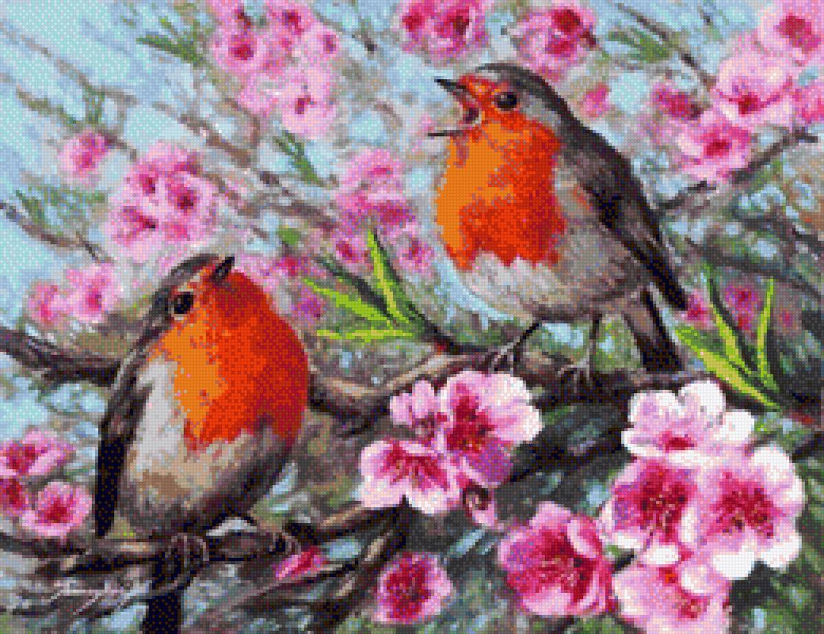 малиновка - животные - предпросмотр