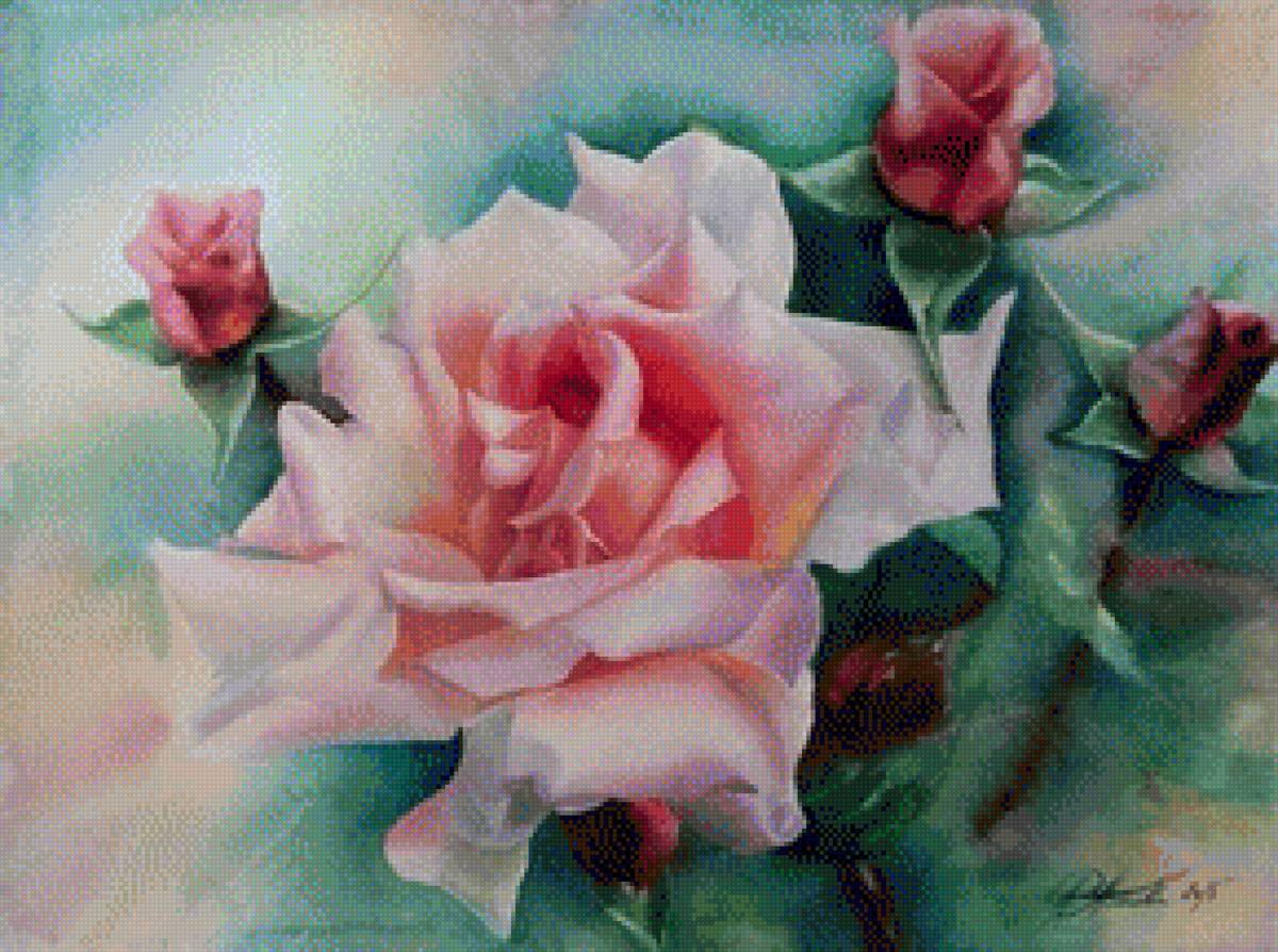 акварельная роза - роза, цветы, нежность - предпросмотр