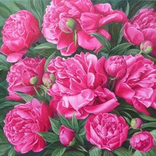 Схема вышивки «розовые пионы»