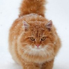 Схема вышивки «№1837771»