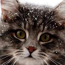 Схема вышивки «№1837772»