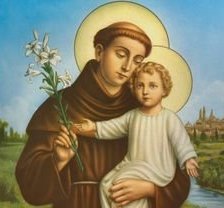 Схема вышивки «sv antony»