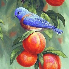 Схема вышивки «птица»