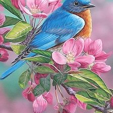 Схема вышивки «птица»