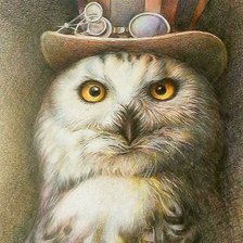 Схема вышивки «Сова в шляпе»