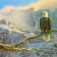 Схема вышивки «№1838164»