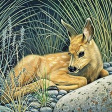 Схема вышивки «№1838168»