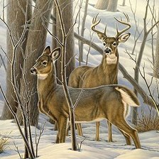 Схема вышивки «№1838172»