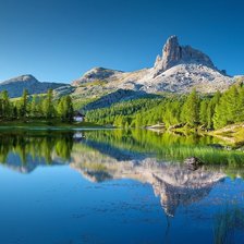 Схема вышивки «ЛЕСНОЙ ПЕЙЗАЖ»