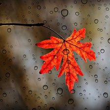 Схема вышивки «есен»