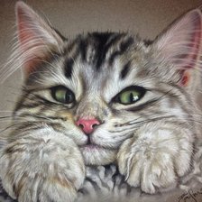 Схема вышивки «Seditas»