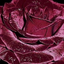 Схема вышивки «№1838448»