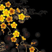 жёлтые цветы