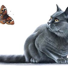 Схема вышивки «кот и бабочка»