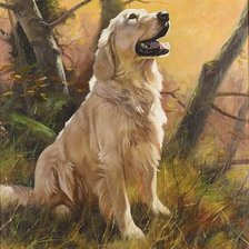 Схема вышивки «лабрадор»