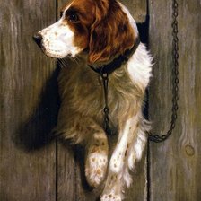 Схема вышивки «Собака»