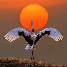 Схема вышивки «Утро»