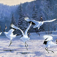 Схема вышивки «ТАНЕЦ ПТИЦ»