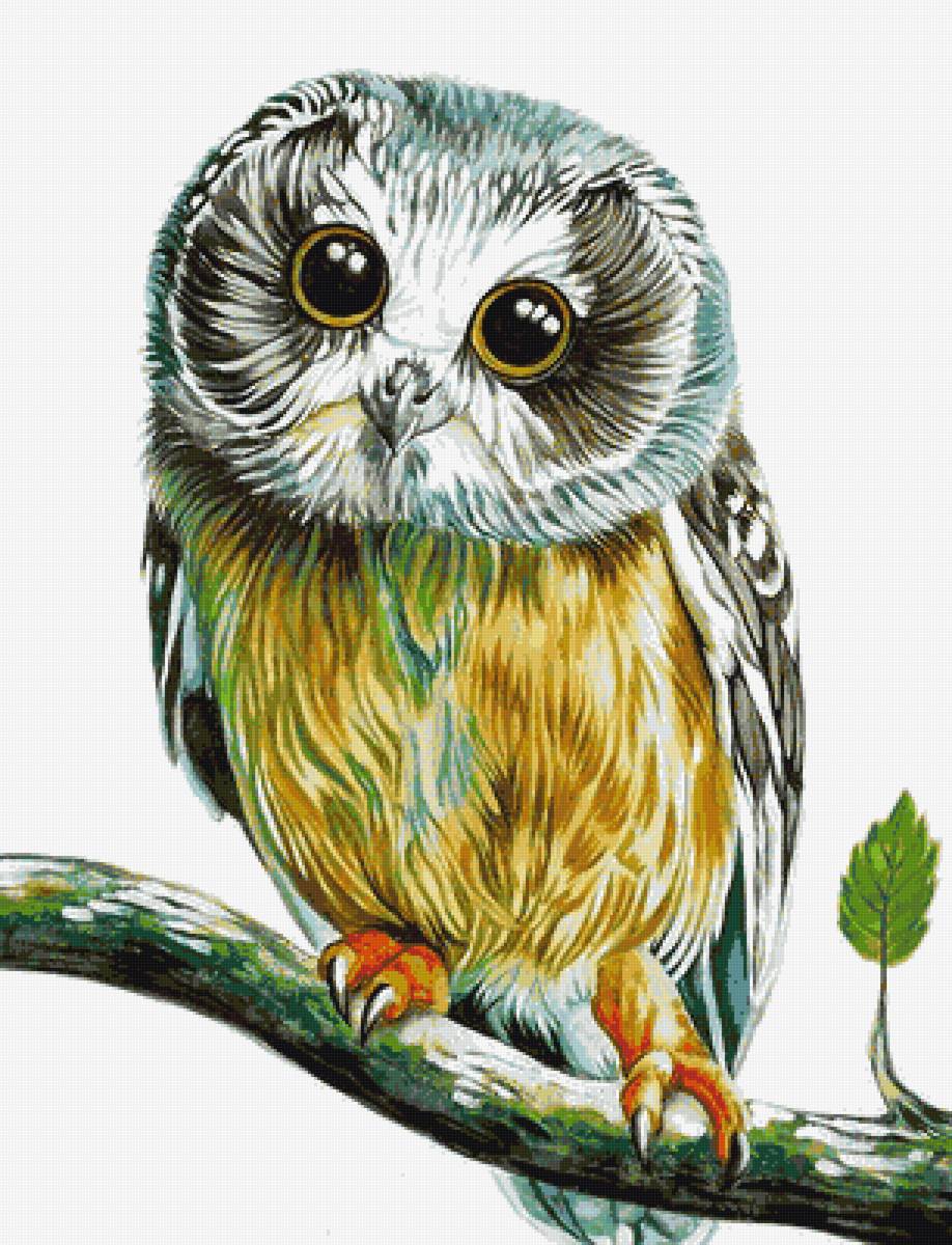 Совушка - предпросмотр