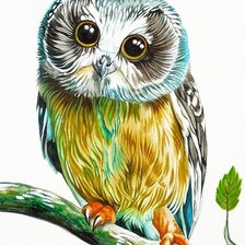 Схема вышивки «Совушка»