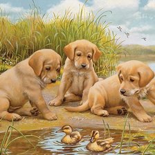 Схема вышивки «№1839799»