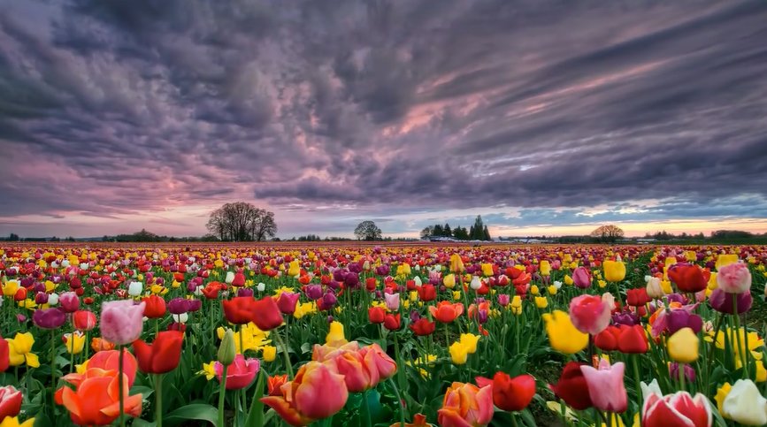 ПЕЙЗАЖ - пейзаж - оригинал