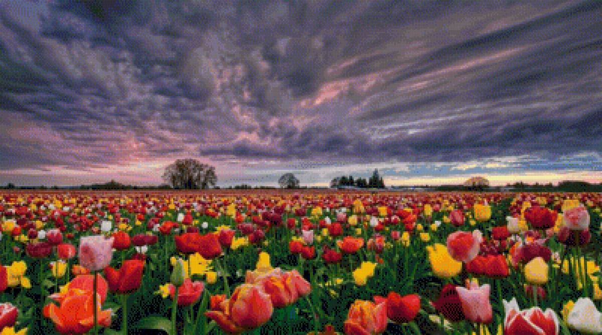 ПЕЙЗАЖ - пейзаж - предпросмотр