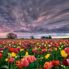 Схема вышивки «ПЕЙЗАЖ»