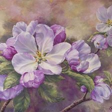 Схема вышивки «цветы»