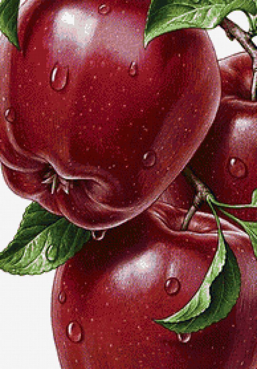 яблоня - кухня, яблоко, яблоня - предпросмотр