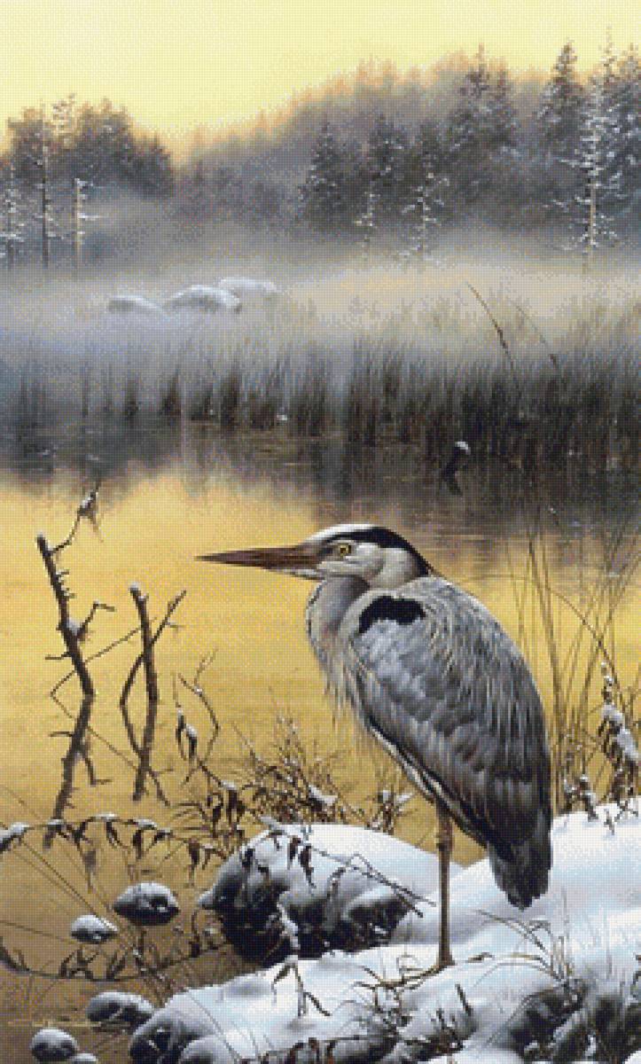 цапля - цапля. озеро - предпросмотр