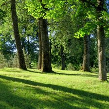 Схема вышивки «№1840214»