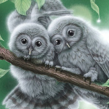 Схема вышивки «совята»