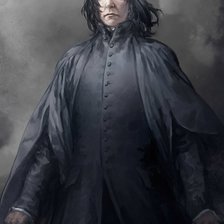 Схема вышивки «северус»